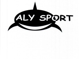 logo-alysport